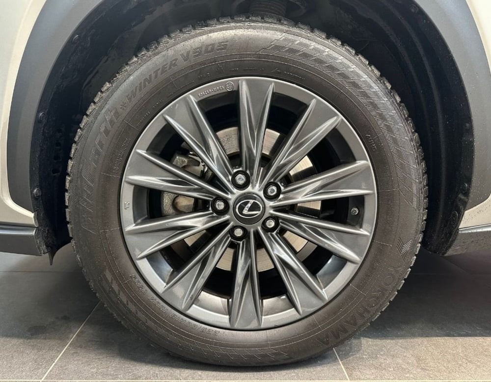 Lexus NX usata a Ferrara (16)
