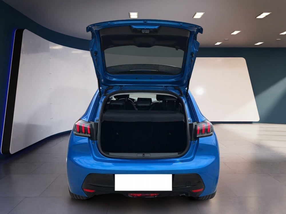 Peugeot 208 usata a Torino (7)