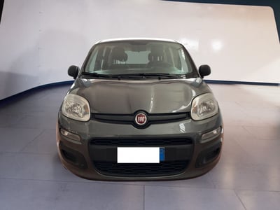 Fiat Panda 1.2 EasyPower Easy del 2019 usata a Torino