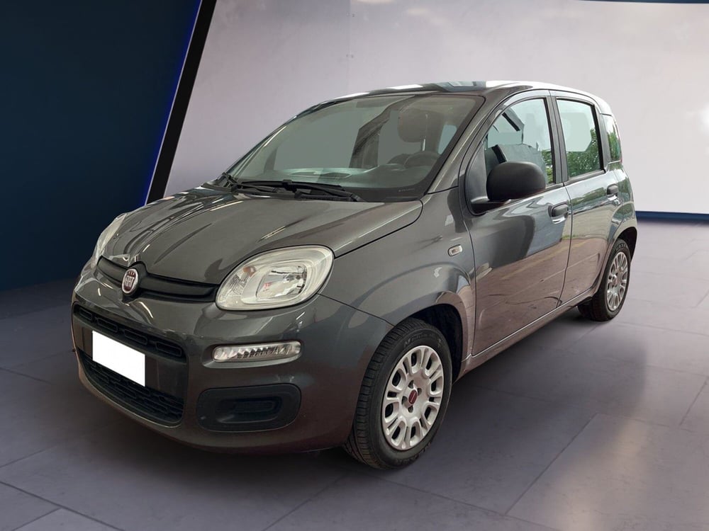 Fiat Panda usata a Torino (2)