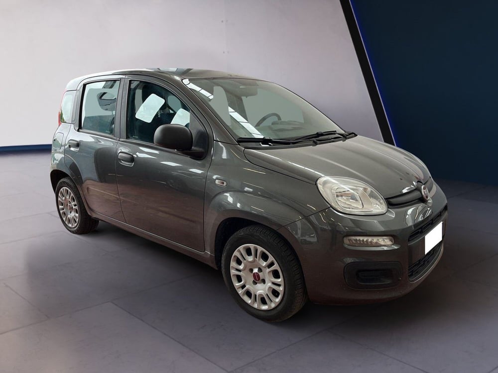 Fiat Panda usata a Torino (3)