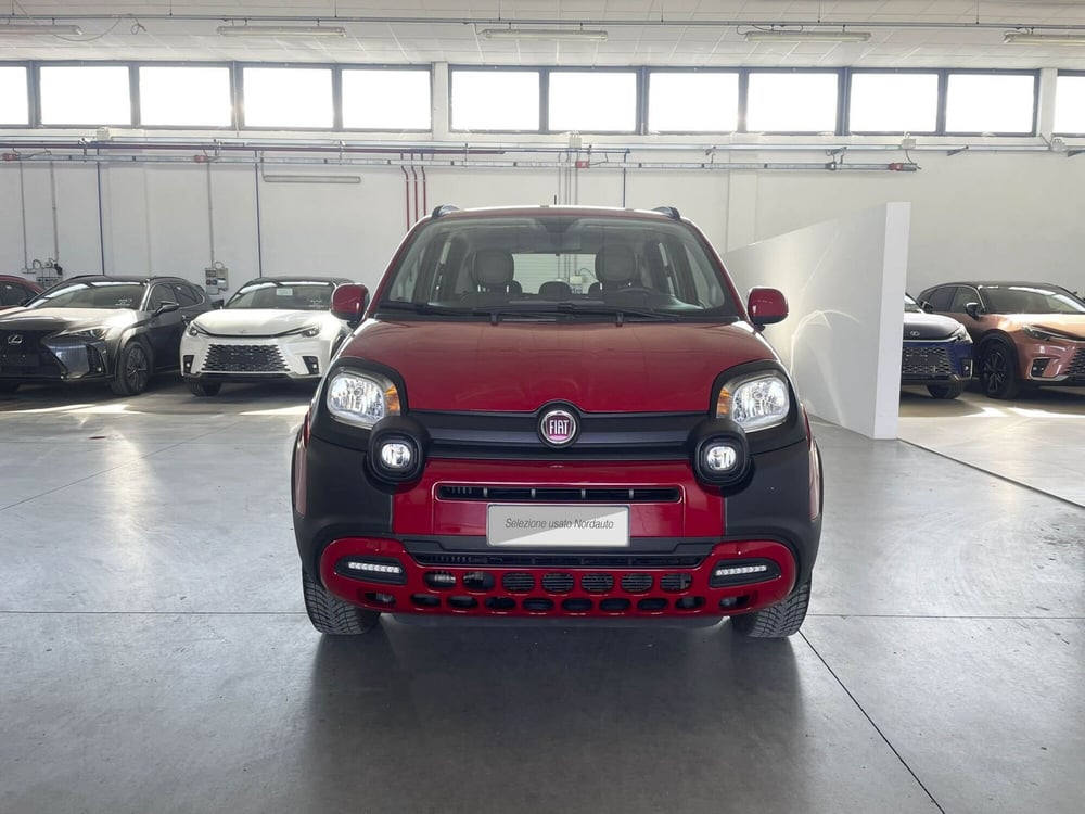 Fiat Panda Cross usata a Treviso (2)