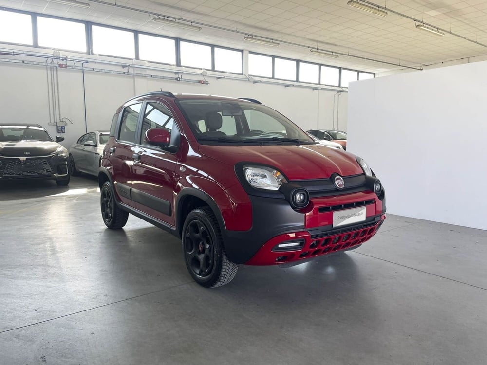 Fiat Panda Cross usata a Treviso (3)