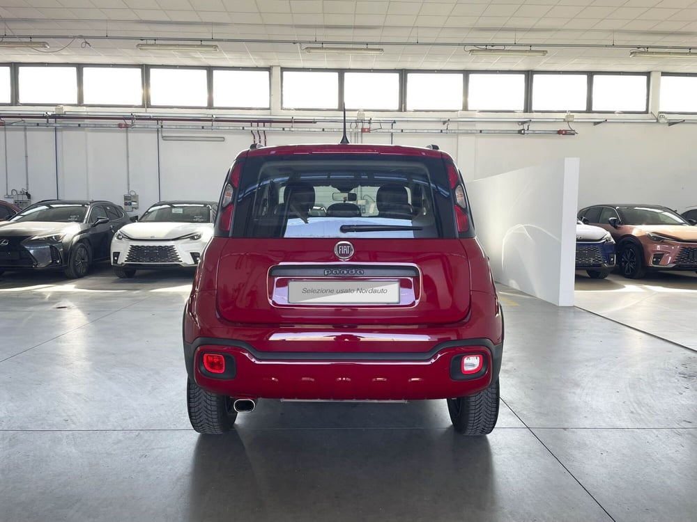 Fiat Panda Cross usata a Treviso (6)