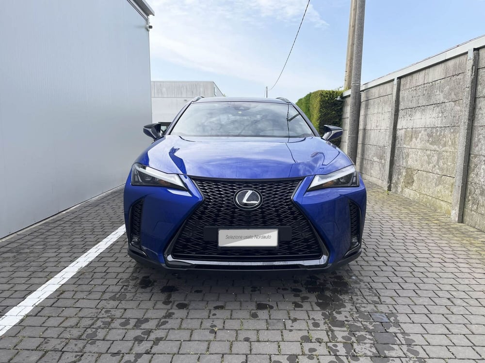 Lexus UX usata a Treviso (2)