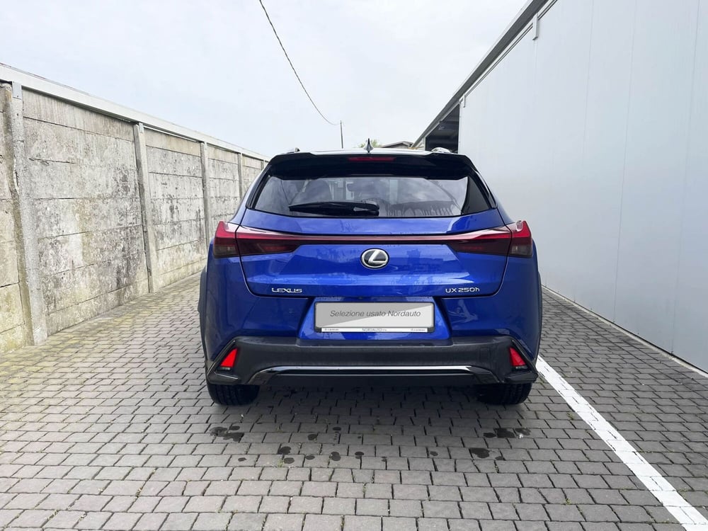 Lexus UX usata a Treviso (6)