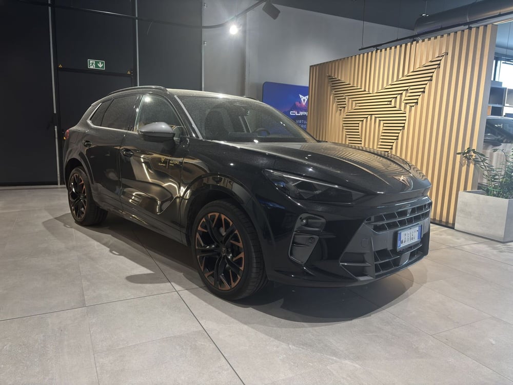 Cupra Terramar usata a Ferrara (3)