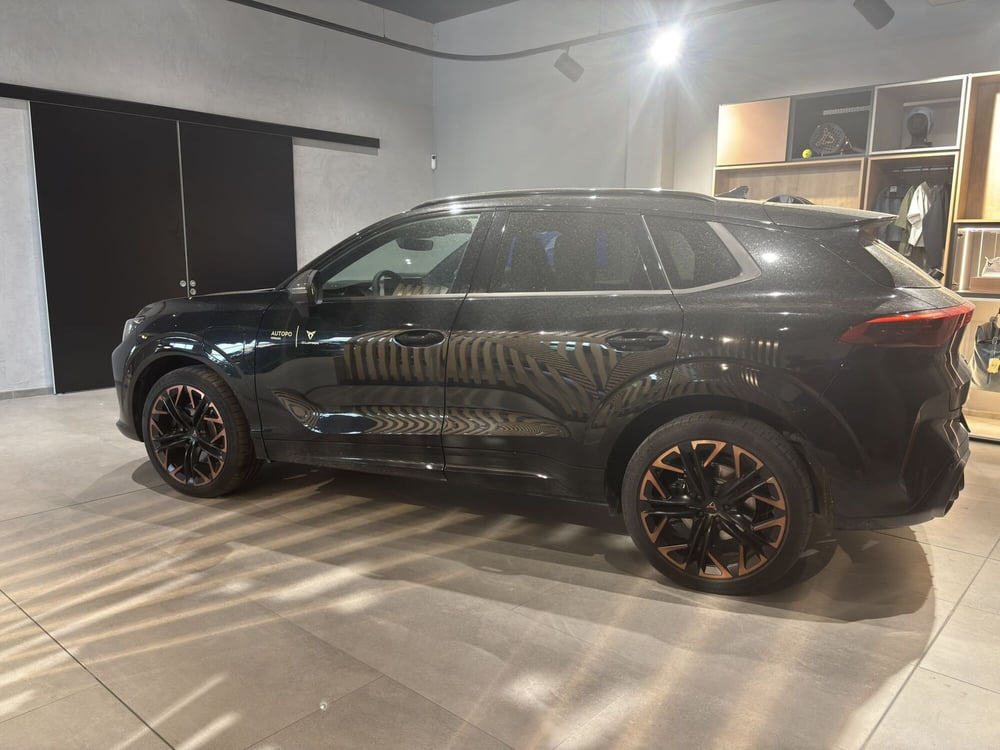 Cupra Terramar usata a Ferrara (6)
