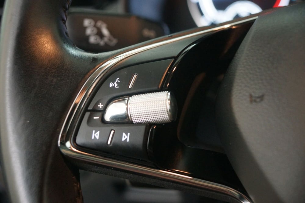 Skoda Kamiq usata a Torino (13)