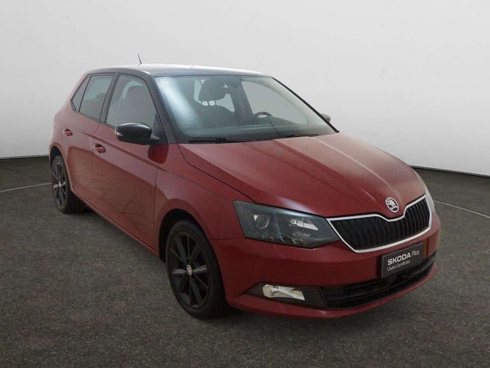 Skoda Fabia usata a Torino