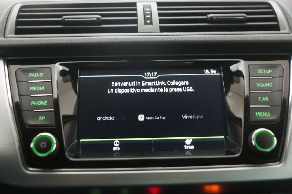 Skoda Fabia usata a Torino (18)