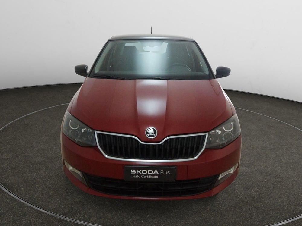Skoda Fabia usata a Torino (2)