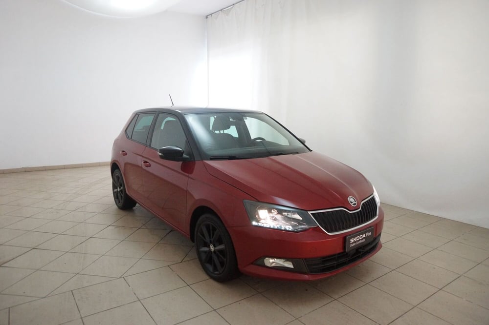 Skoda Fabia usata a Torino (20)