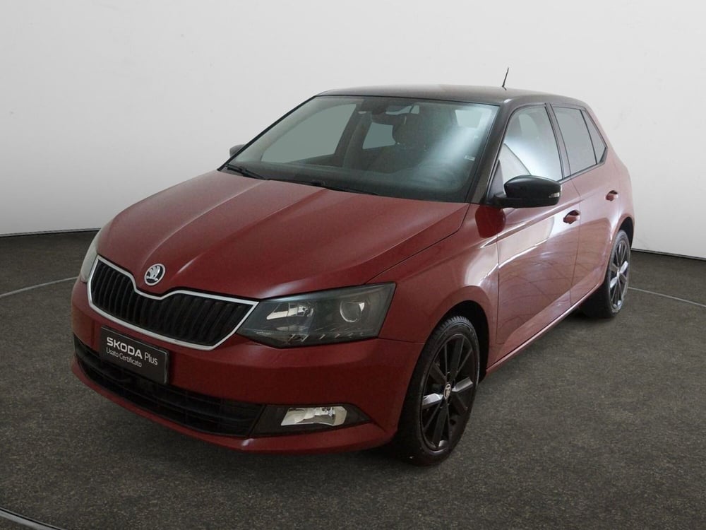 Skoda Fabia usata a Torino (3)