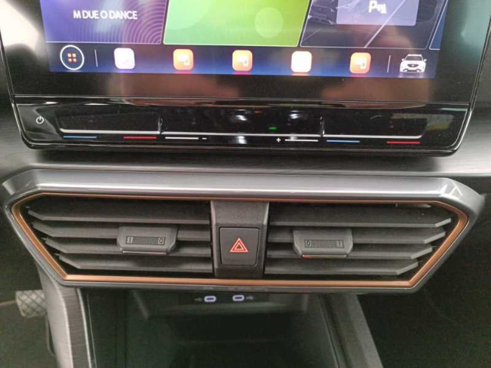 Cupra Formentor usata a Treviso (17)