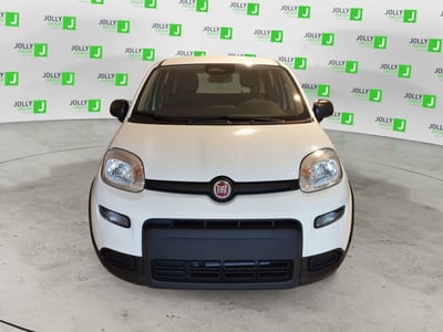 Fiat Panda 1.0 FireFly S&amp;S Hybrid City Cross nuova a Ceccano