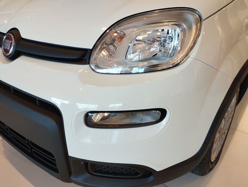 Fiat Panda nuova a Frosinone (15)