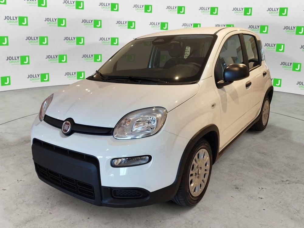 Fiat Panda nuova a Frosinone (2)