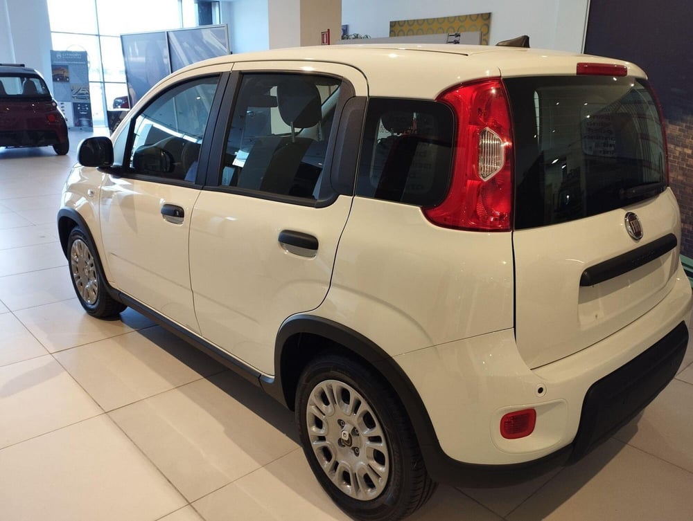 Fiat Panda nuova a Frosinone (3)