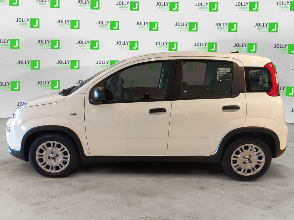 Fiat Panda nuova a Frosinone (5)