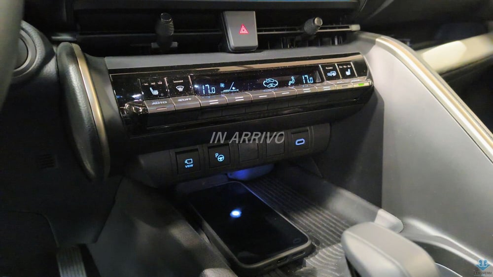 Toyota Toyota C-HR usata a Catanzaro (12)