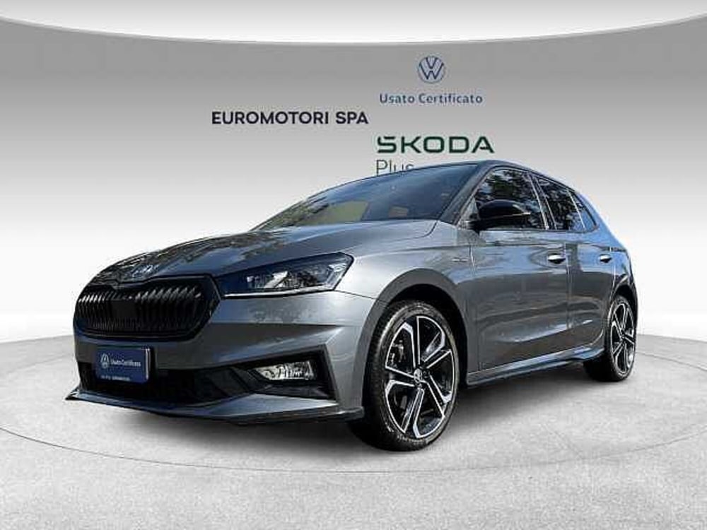 Skoda Fabia usata a Grosseto