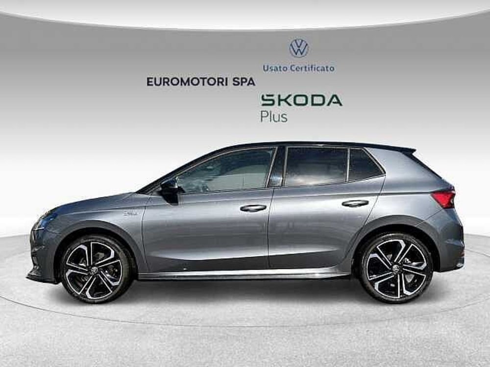 Skoda Fabia usata a Grosseto (2)