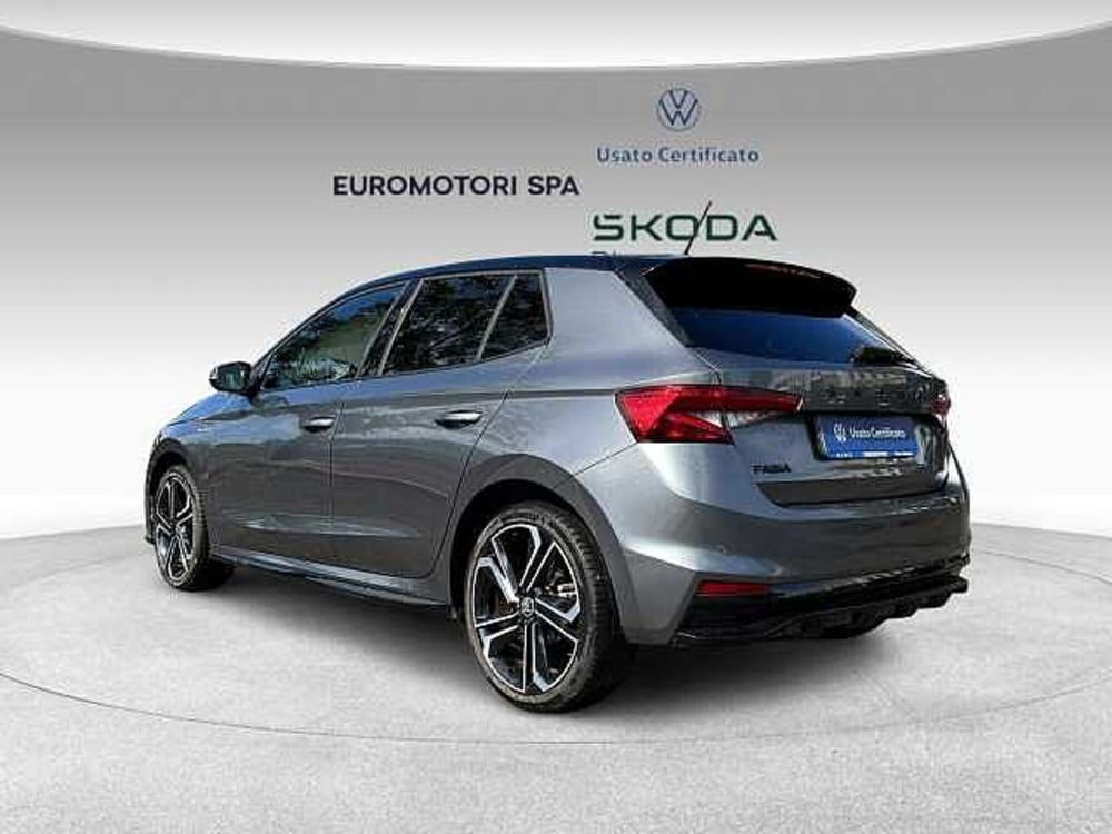 Skoda Fabia usata a Grosseto (3)
