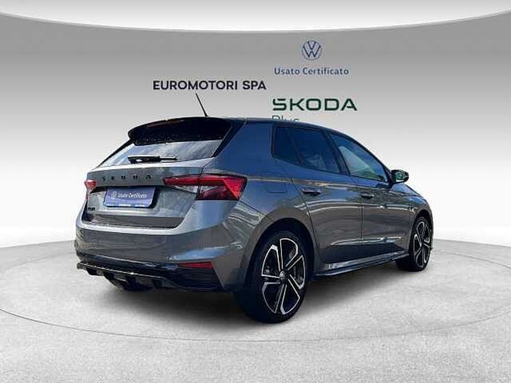 Skoda Fabia usata a Grosseto (4)