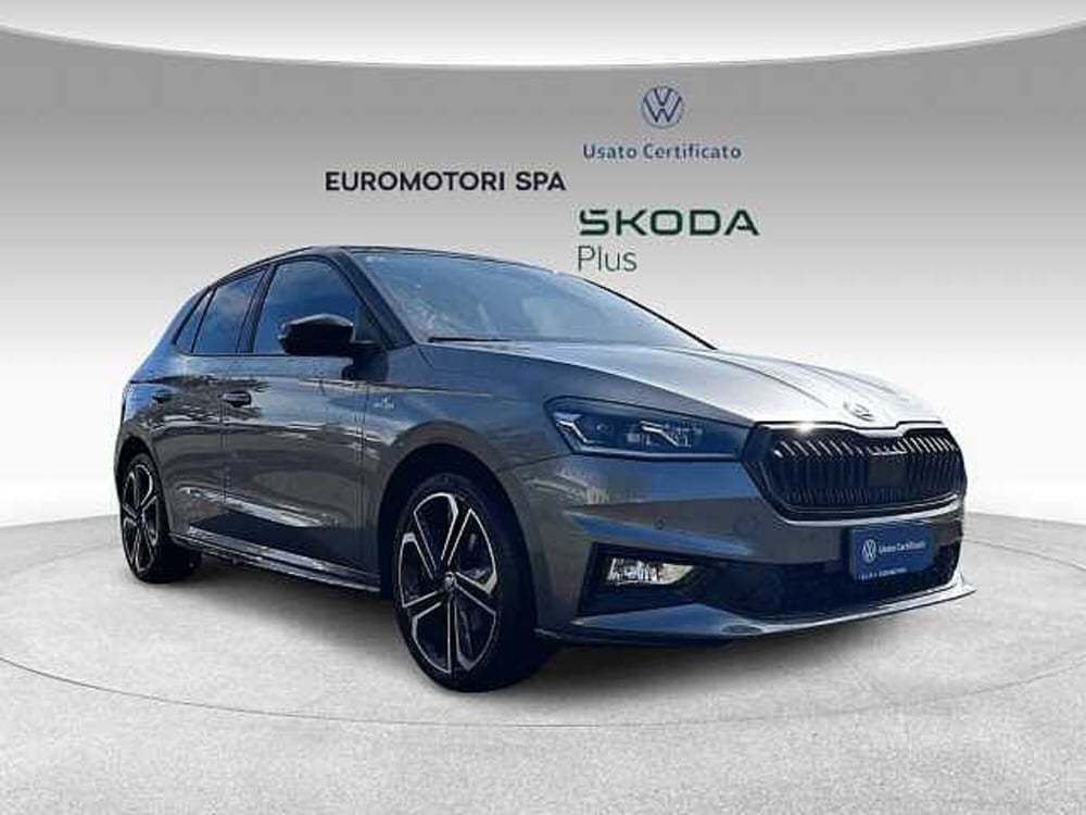 Skoda Fabia usata a Grosseto (6)