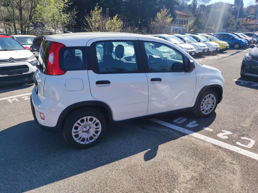 Fiat Panda nuova a Roma (6)