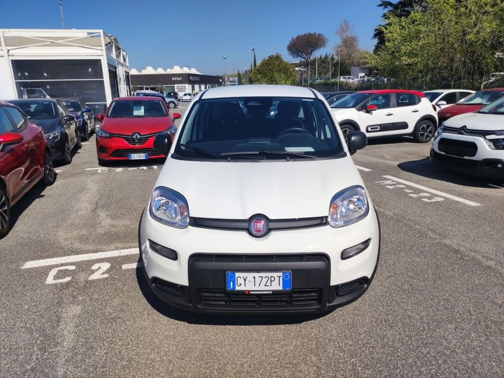 Fiat Panda nuova a Roma (7)