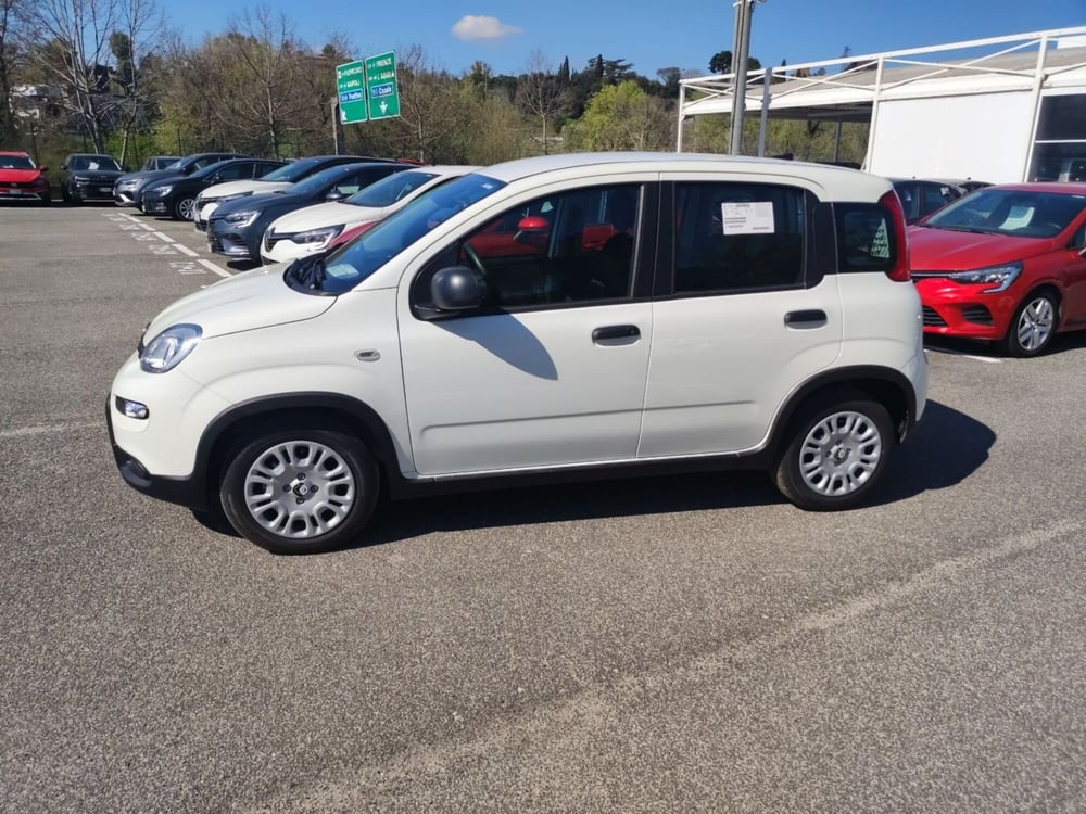 Fiat Panda nuova a Roma (8)