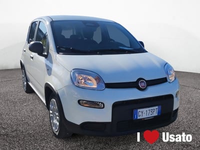 Fiat Panda 1.0 firefly hybrid s&amp;s 70cv 5p.ti nuova a Roma