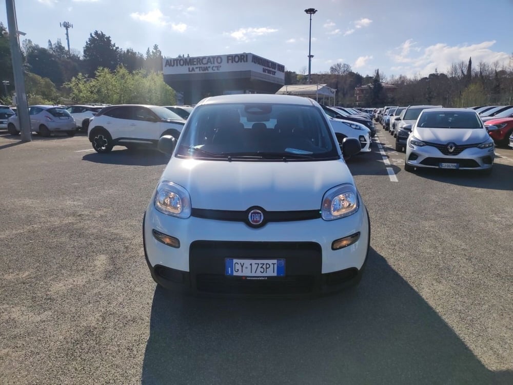 Fiat Panda nuova a Roma (16)