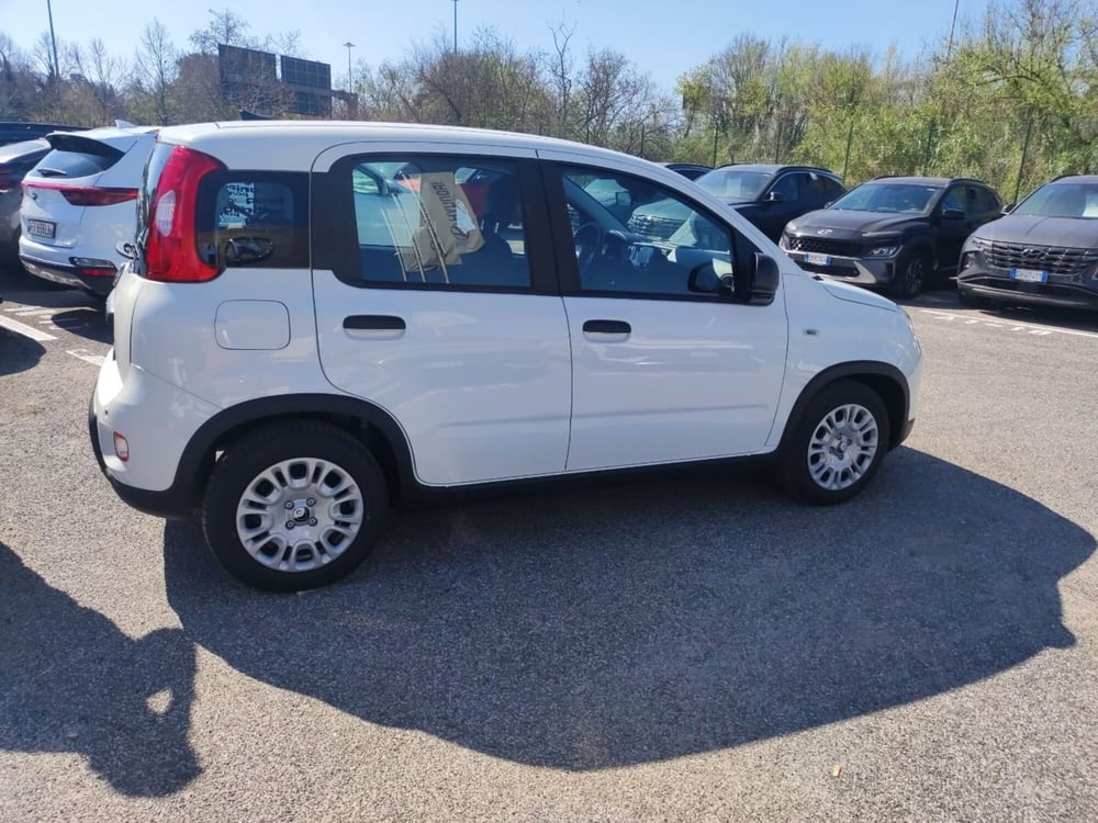 Fiat Panda nuova a Roma (20)