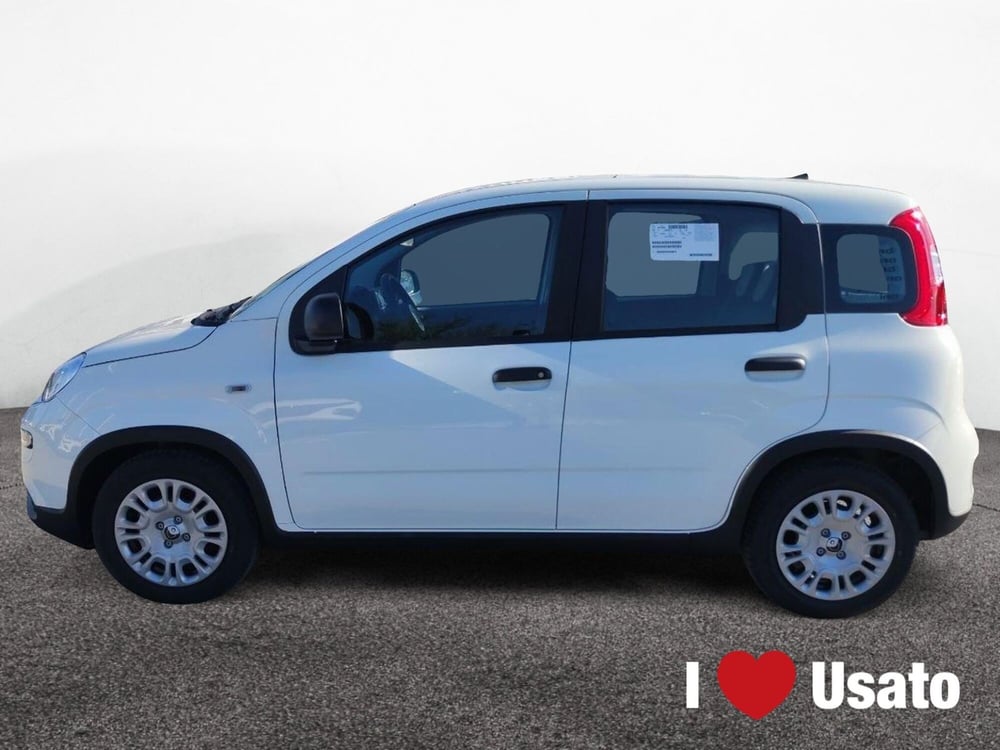 Fiat Panda nuova a Roma (4)