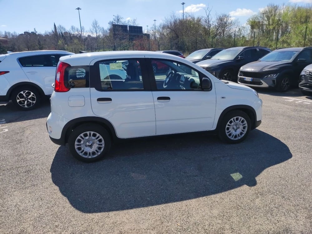 Fiat Panda nuova a Roma (6)