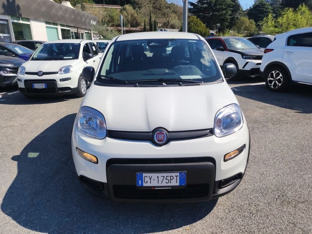 Fiat Panda nuova a Roma (7)