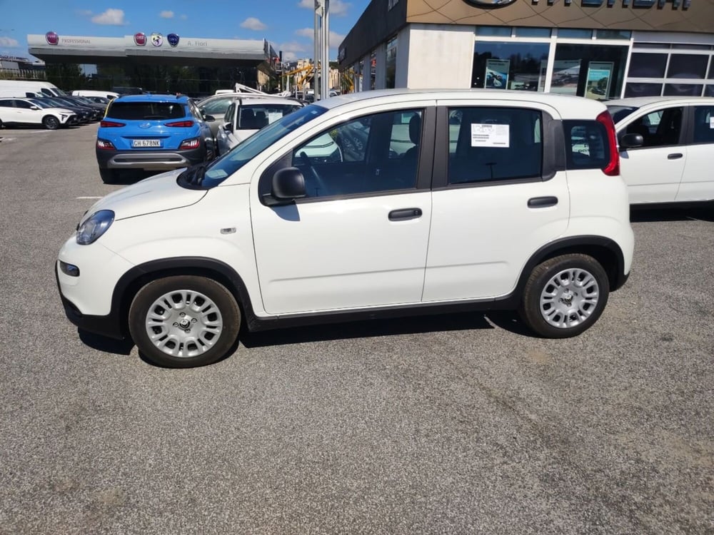 Fiat Panda nuova a Roma (8)