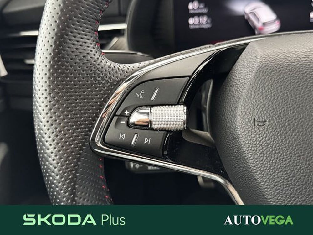 Skoda Kamiq usata a Vicenza (19)