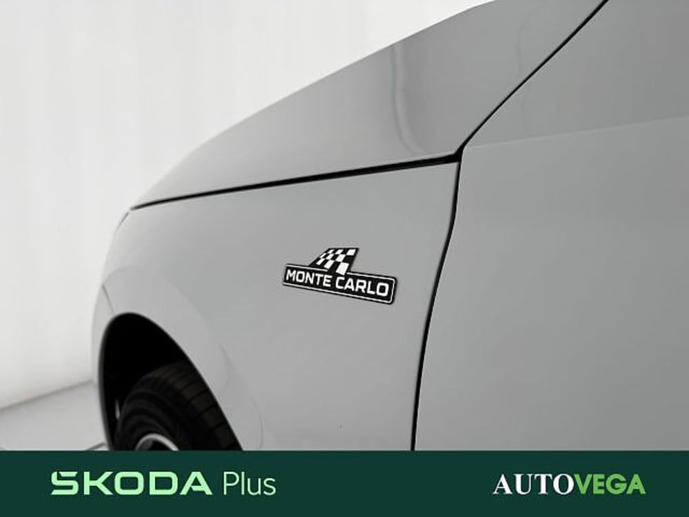 Skoda Kamiq usata a Vicenza (7)