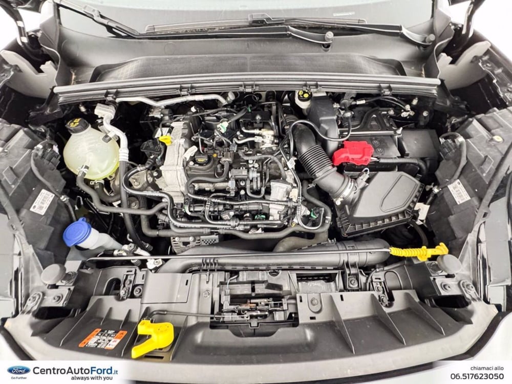 Ford Puma usata a Roma (12)