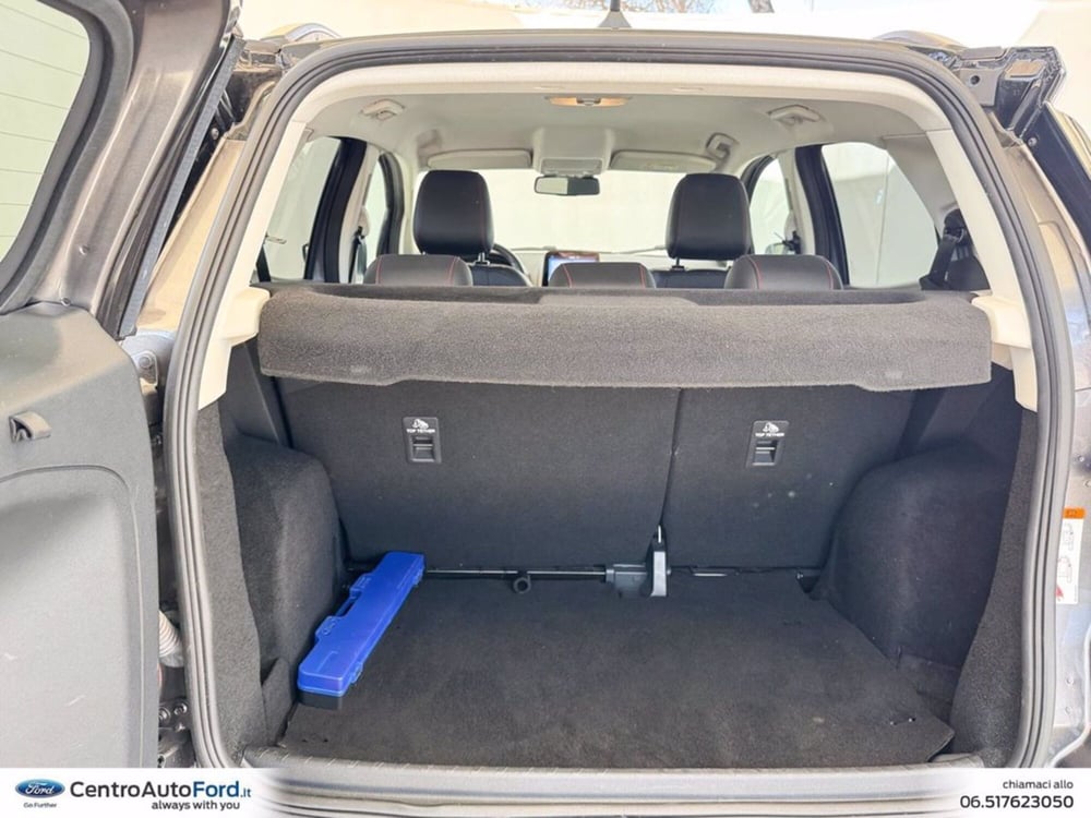 Ford EcoSport usata a Roma (11)