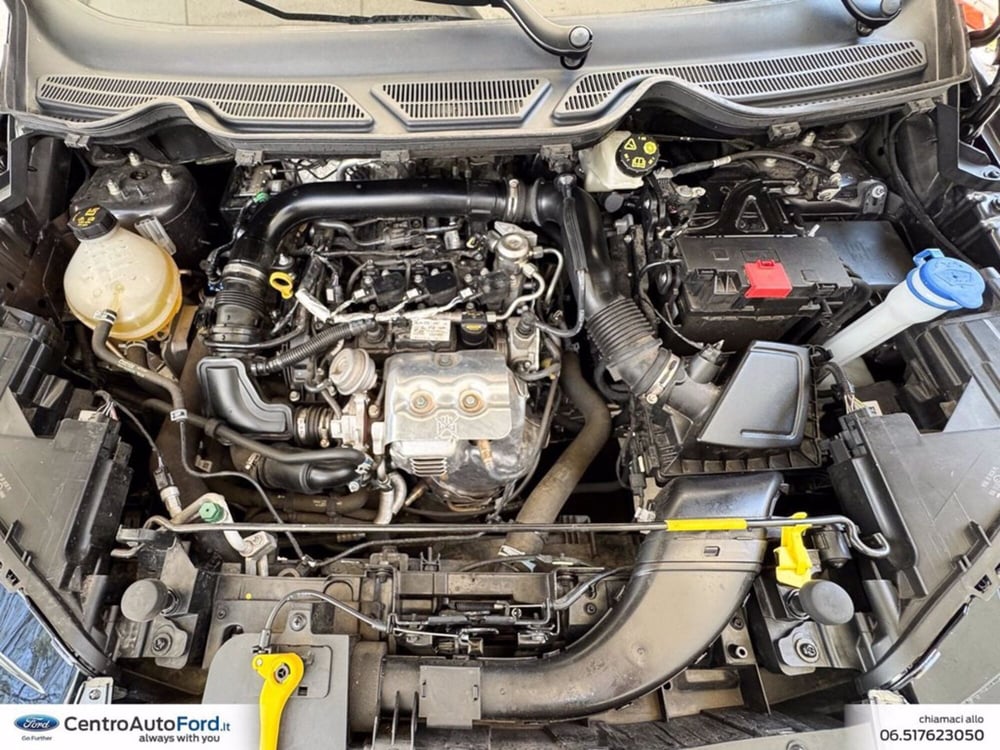 Ford EcoSport usata a Roma (13)