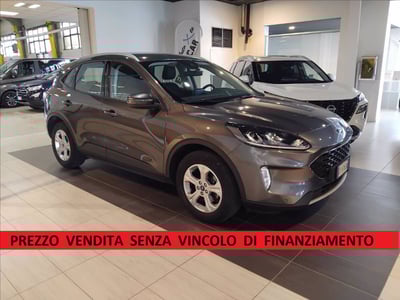 Ford Kuga 1.5 EcoBlue 120 CV aut. 2WD del 2021 usata a Trezzano sul Naviglio