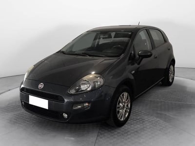Fiat Punto 1.2 8V 5 porte Lounge del 2015 usata a Torino