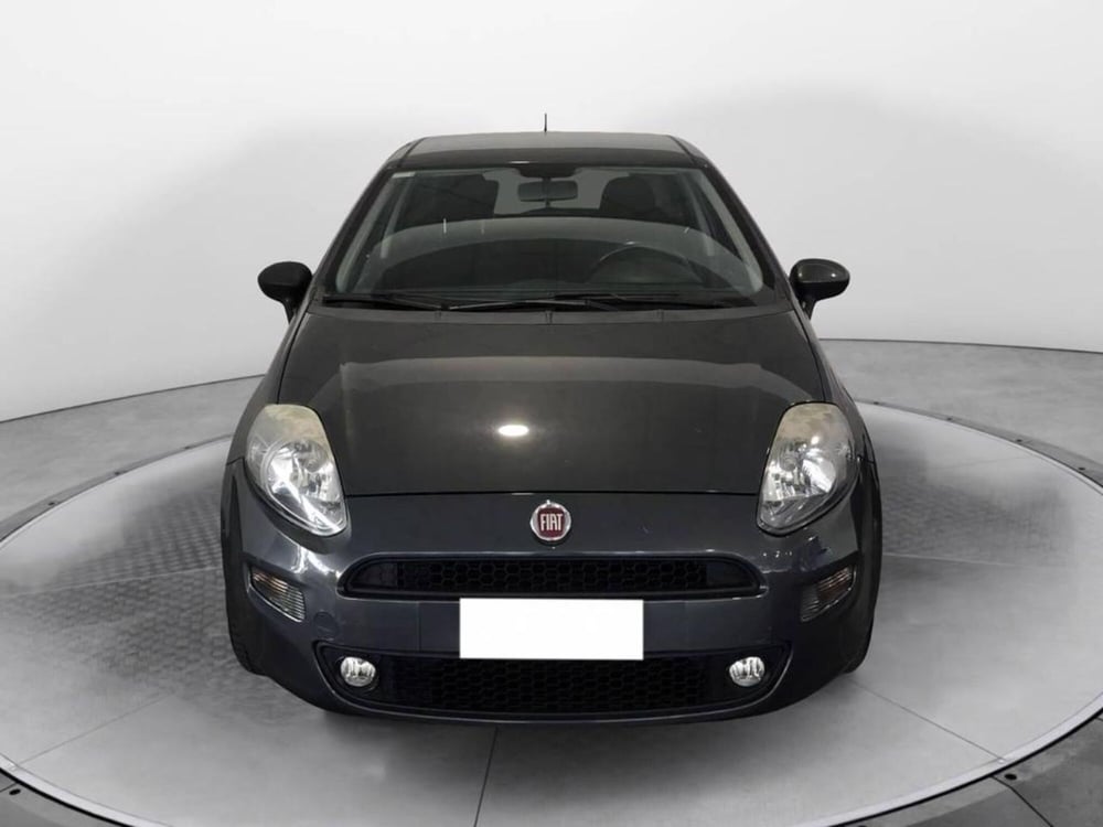 Fiat Punto usata a Torino (2)