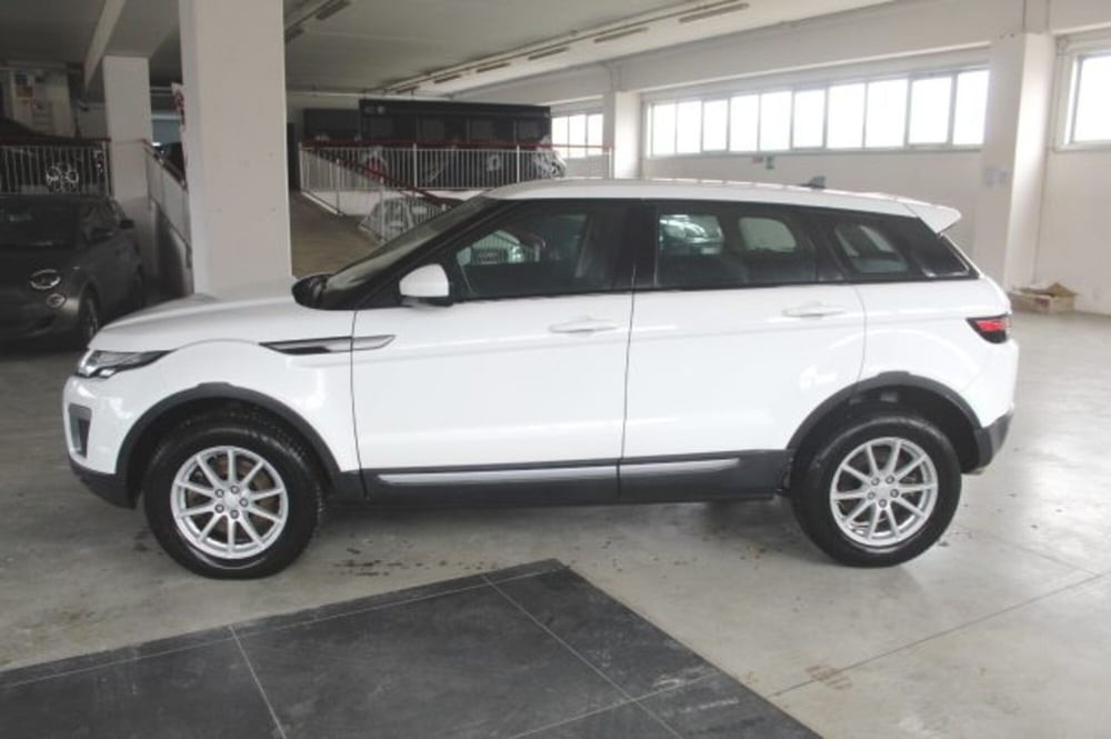 Land Rover Range Rover Evoque usata a Terni (3)