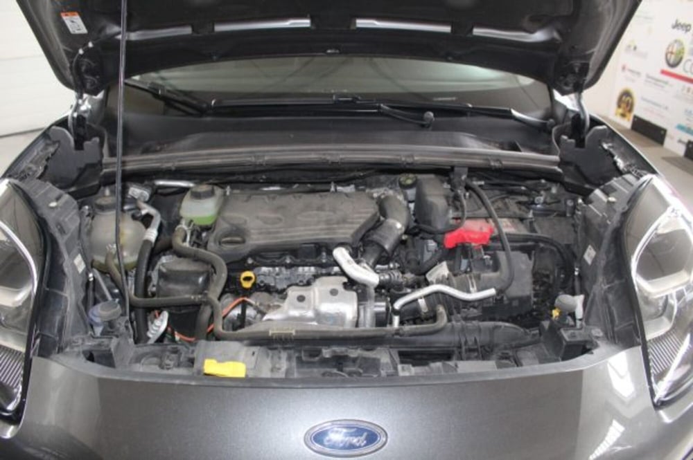 Ford Puma usata a Terni (19)